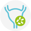 Interstitial Cystitis and Urinary Tract Infections or UTI's icon