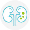 Kidney stones icon